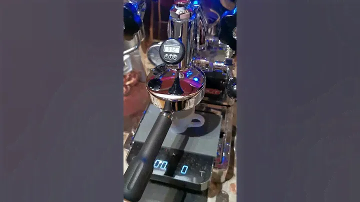 Coffee Sensor | Lelit Mara PL62T